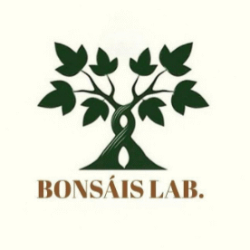 Logotipo de Bonsais Lab con árbol estilizado en tonos naturales.